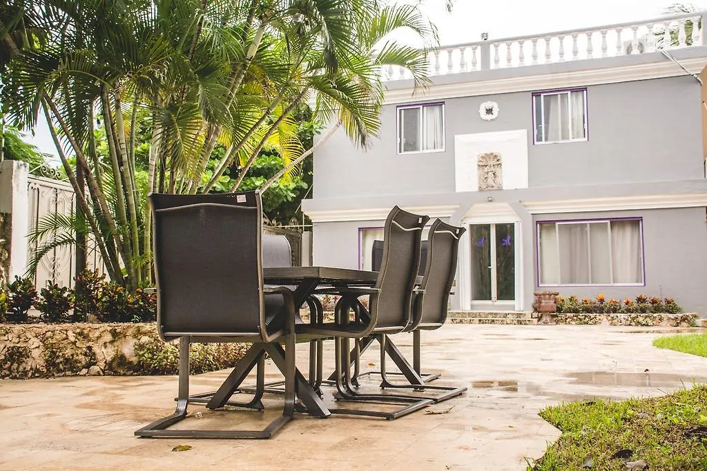 Purple Lion Hotel Cancún Pensión